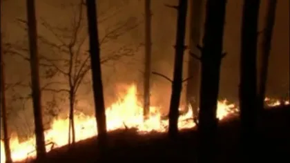 Incendiu de vegetaţie în Buzău. Peste 40 de pompieri au intervenit de urgenţă