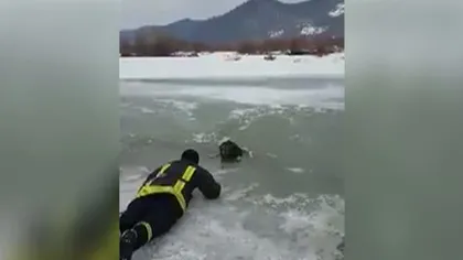 Operaţiune emoţionantă de salvare, câine scos dintre sloiuri. Un pompier s-a târât pe gheaţă VIDEO