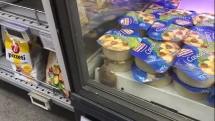 Imagini revoltătoare, şoareci în frigidere şi în alimentaţie VIDEO