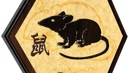 Zodiac chinezesc: Cum sunt copiii născuţi în Anul Şobolanului