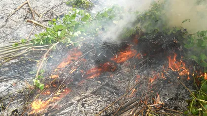 Incendiu de vegetaţie în Arad. Traficul feroviar pe magistrala 200 Deva - Arad a fost oprit
