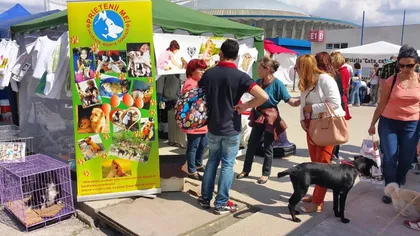 Pet Expo, în perioada 5-7 mai 2017 la Romexpo. Iubitorii de animale pot adopta căţei şi pisici