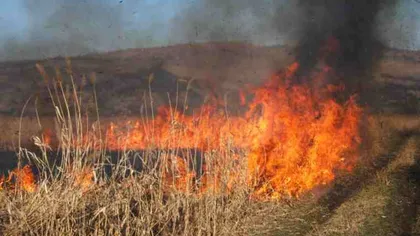 Incendiu de vegetaţie în Prahova. Zece hectare au fost afectate, dintre care trei păduri