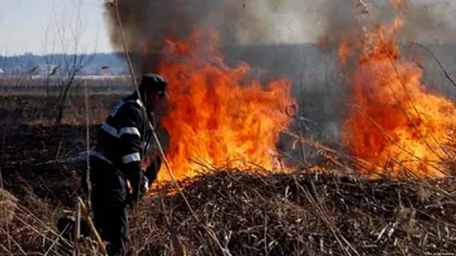 Argeş: Peste 30 de incendii de vegetaţie, înregistrate în ultimele două zile