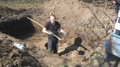 Mai multe oase umane au fost găsite în curtea unei familii din Arad. Poliţiştii fac cercetări