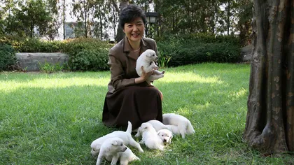 Fosta preşedintă de la Seul, Park Geun-Hye, acuzată că şi-a abandonat câinii