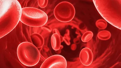 Nivelurile ridicate de plumb din sânge afectează negativ coeficientul de inteligenţă