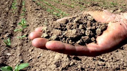 S-a instalat seceta în România. HARTA ZONELOR AFECTATE