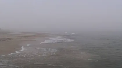 COD GALBEN de ceaţă pe litoral
