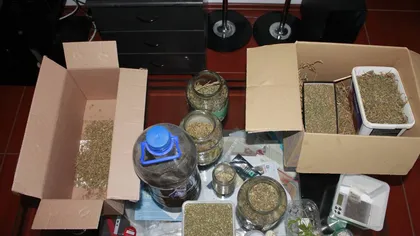26 de persoane reţinute şi aproximativ 1,3 kilograme de droguri confiscate, în urma unor percheziţii în Constanţa