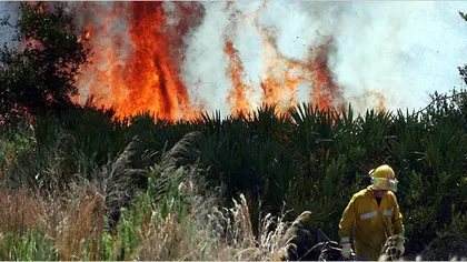Stare de urgenţă în Florida: Incendiile de vegetaţie au dezlănţuit iadul