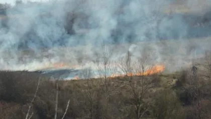 Incendiu pe zece hectare lângă o pădure din Munţii Apuseni. Pompierii, voluntarii şi un elicopter au intervenit