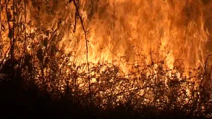 Incendii la marginea unor păduri din Munţii Apuseni şi Şureanu. Zeci de pompieri şi voluntari intervin