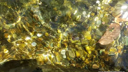 Zeci de kilograme de monede s-au adunat la izvorul lui Arsenie Boca. Localnicii susţin că apele izvorului sunt VINDECĂTOARE