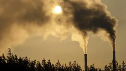 Poluarea din atmosferă poate provoca simptome specifice sinuzitei cronice