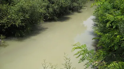 Râu poluat cu substanţe organice provenite de la o societate care procesează carne