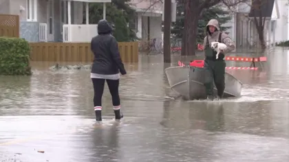 Trei persoane au murit în inundaţiile provocate de ploile teorenţiale din Bulgaria