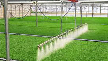 Ministrul Agriculturii promite sisteme de irigaţii pentru două milioane de hectare
