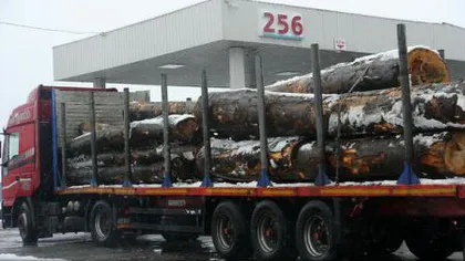 Transportul de lemn din fondul forestier ar putea fi interzis pe timpul nopţii