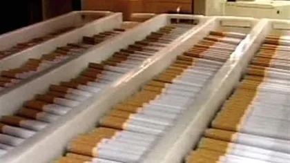 Preşedinte al asociaţiei de proprietari, fabrică ilegală de ţigarete în subsolul blocului