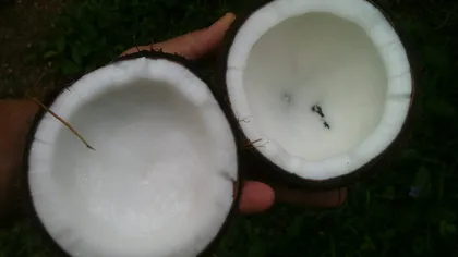 10 utilizări ale uleiului de cocos. Cât şi când trebuie să mănânci ca să creşti saţietatea