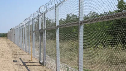 Lituania vrea să ridice un gard de 2 metri la granița cu Rusia, de teama exercițiilor militare din zonă