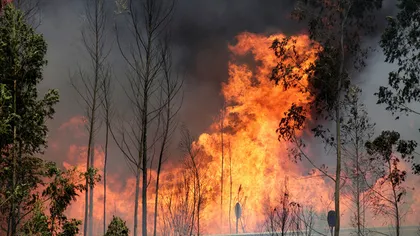 Portugalia, în doliu după devastatoarele incendii de vegetaţie. Sinistrul a curmat viaţa a 62 de persoane VIDEO