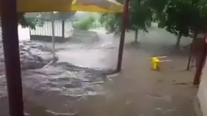 Ploaia torenţială a făcut prăpăd în Alba. Mai multe gospodării şi drumuri au fost inundate