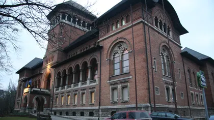 ANI: Fostul manager al Muzeului Naţional al Ţăranului Român, în conflict de interese penal