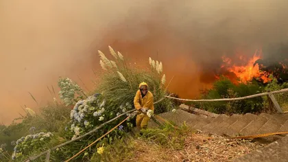 Incendiile de pădure din Portugalia au făcut cel puţin 62 de morţi şi peste 60 de răniţi VIDEO UPDATE