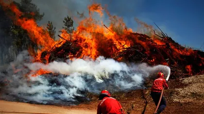 Portugalia a reuşit să ţină incendiile de vegetaţie sub control, după patru zile de infern