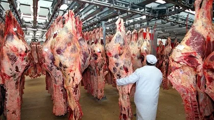 Producţia de carne de bovină a CRESCUT cu 29,4%, în 2016, însă cea de ovină a SCĂZUT cu 8,4%