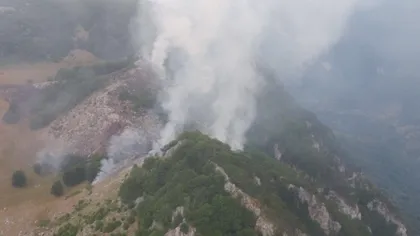 Incendiu devastator într-o pădure de pin negru de Banat GALERIE FOTO UPDATE