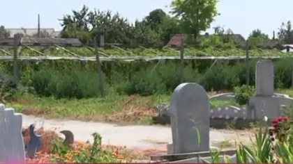 Legume plantate lângă morminte. O fostă consilieră locală a ridicat într-un cimitir musulman mai multe sere