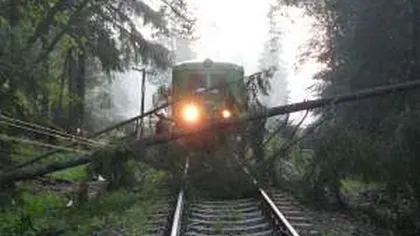 Cinci trenuri, blocate în Gara din Braşov după ce au căzut copaci pe şine