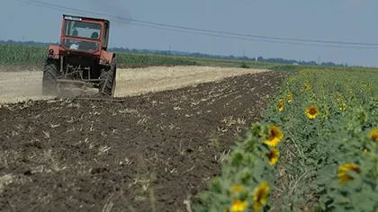 Veşti bune pentru agricultori! Angajatorii din mediul rural vor fi scutiți de plata obligațiilor către stat