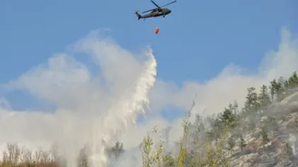În Parcul Naţional Domogled - Valea Cernei nu se mai observă focare, anunţă pompierii