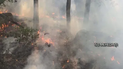 Ard pădurile din cauza arşiţei, intervenţie cu elicopterul în Mehedinţi. 3 hectare de litieră şi coronament, mistuite de flăcări VIDEO