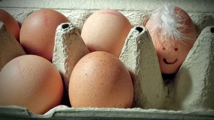 Ouă contaminate cu insecticid în mai multe ţări din UE. ANSVSA: Nu sunt informaţii că au intrat pe piaţa din România