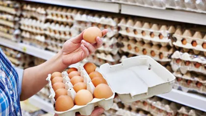 Milioane de ouă retrase de pe rafturile magazinelor din UE din cauza contaminării cu un insecticid ce ar fi fost cumpărat din România