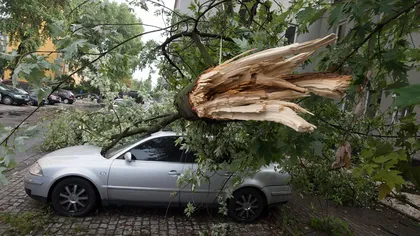 Cinci persoane au murit şi 36 sunt rănite după furtunile violente din Polonia