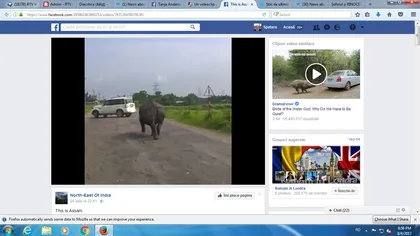 Rinocerul şi şoferul. Slalom incredibil pe o şosea din India VIDEO