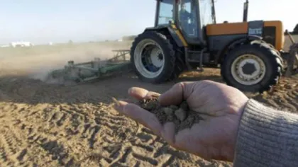Un val de căldură extremă distruge culturi şi intensifică seceta în Europa Centrală şi Sud-Est