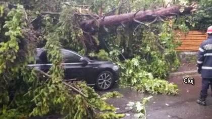 Nouă localităţi din 7 judeţe şi Bucureşti, afectate de furtuni în ultimele 24 de ore: copaci căzuţi, acoperişuri smulse, inundaţii