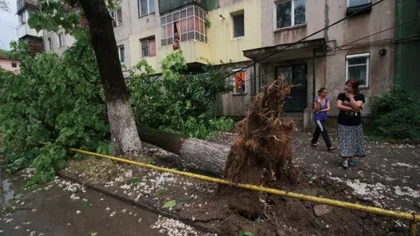 Furtunile fac ravagii în ţară: Acoperişuri smulse, maşini avariate şi copaci rupţi de vântul puternic