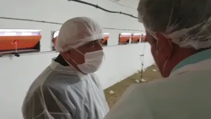 Ministrul agriculturii Petre Daea, printre bivoli şi găini la Iaşi VIDEO