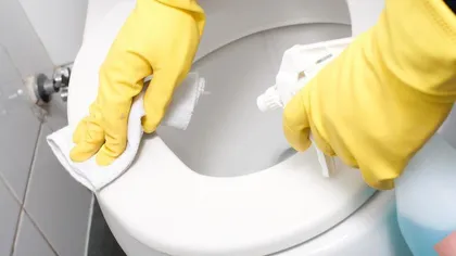 Colacul de WC de acasă adună 50 de bacterii pe centimetrul pătrat