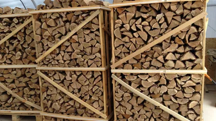 Propunere legislativă prin care exportul de lemne de foc este interzis pentru trei ani