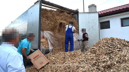 Aproape 250.000 de pachete cu ţigări din Ucraina, descoperite într-un TIR la Vama Halmeu