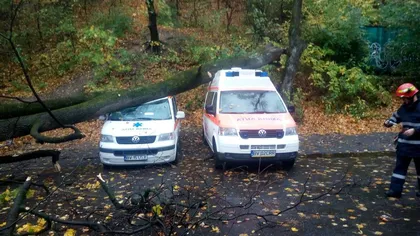 Vremea rea face ravagii în ţară. Taximetrist rănit după ce un copac a căzut peste maşina sa, pe un bulevard din Capitală